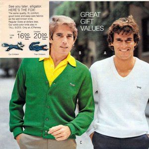 Here Comes The Fox :)